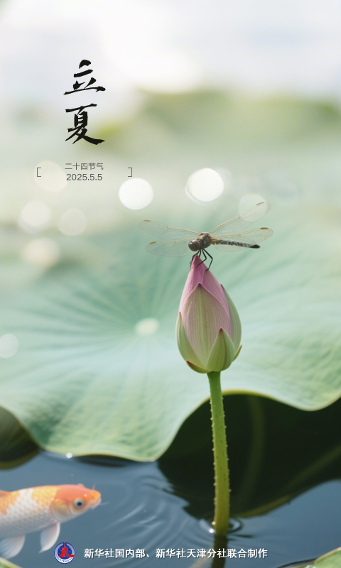 优配良品 节令之美丨5日13时57分立夏：春尽杂英歇，夏初芳草深