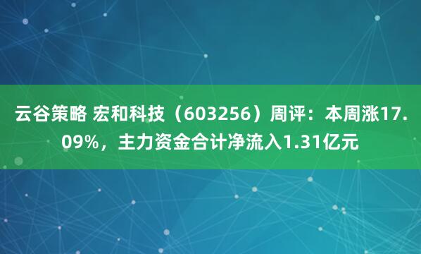 云谷策略 宏和科技（603256）周评：本周涨17.09%，主力资金合计净流入1.31亿元