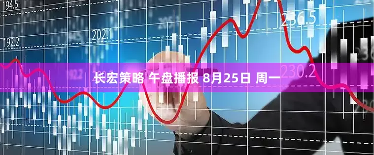 长宏策略 午盘播报 8月25日 周一