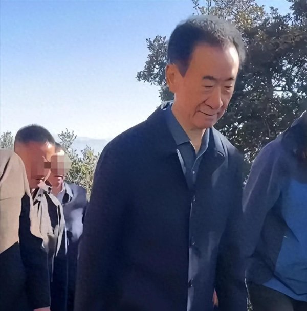 元宝枫资本 刚还完6000亿外债, 万达再被执行24亿, 71岁的王健林又迎来大麻烦